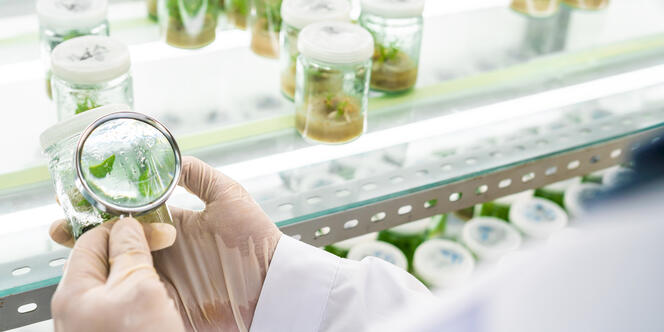 JRSはお客様の製品を長期的により良いものにするカスタマイズされたソリューションを開発します。