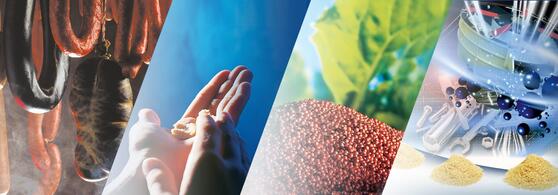 JRSアーボセルの理想的な崩壊・分解特性